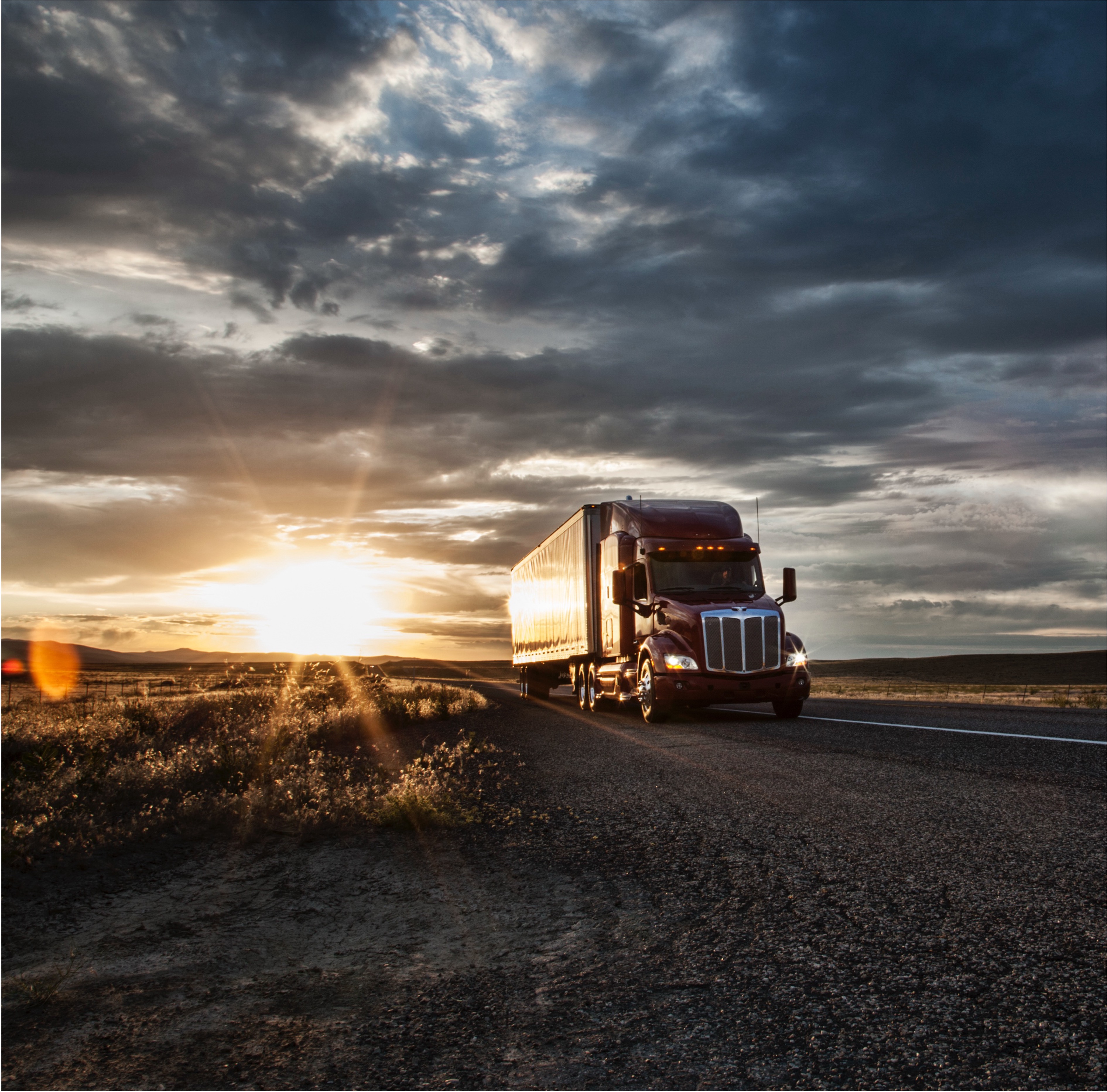 Finansal Büyüme Grafiği